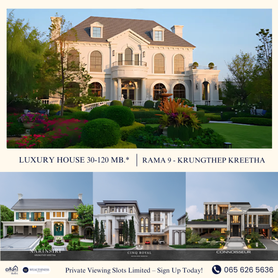 lead promote