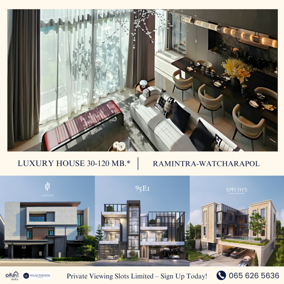 lead promote