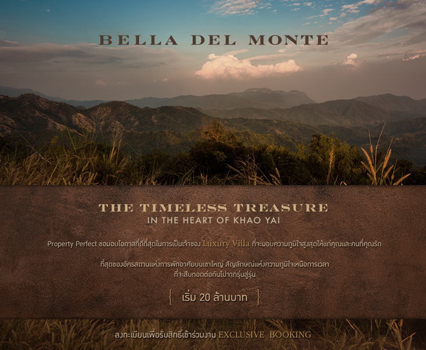 banner-project-details