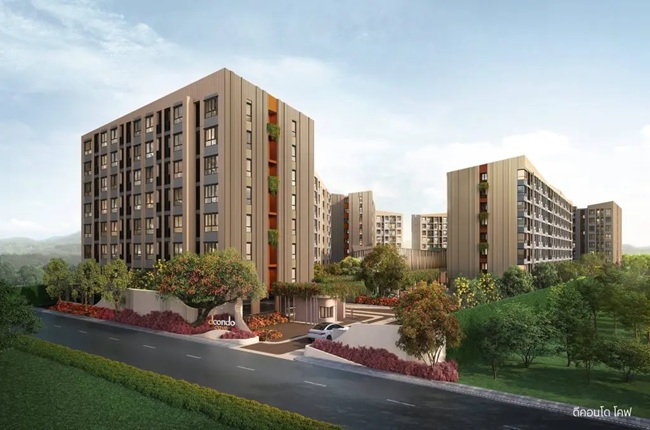 banner-project-details